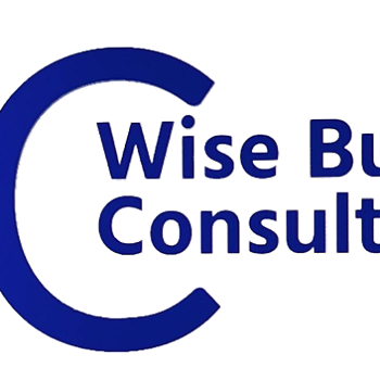 Wise-business-consulting-Tax-consultant-Loni-Uttar-pradesh-1